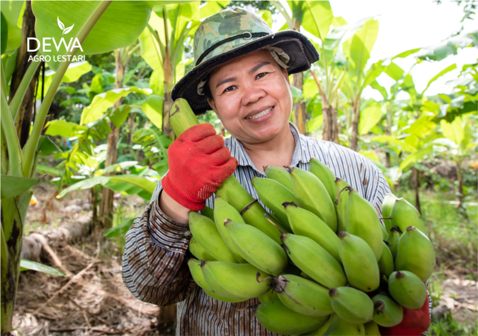 Jenis pisang di Indonesia
