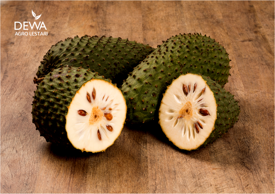 Manfaat buah sirsak untuk Kesehatan