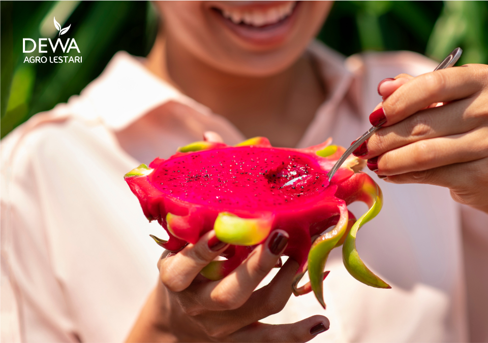 Perbedaan buah naga merah dan putih