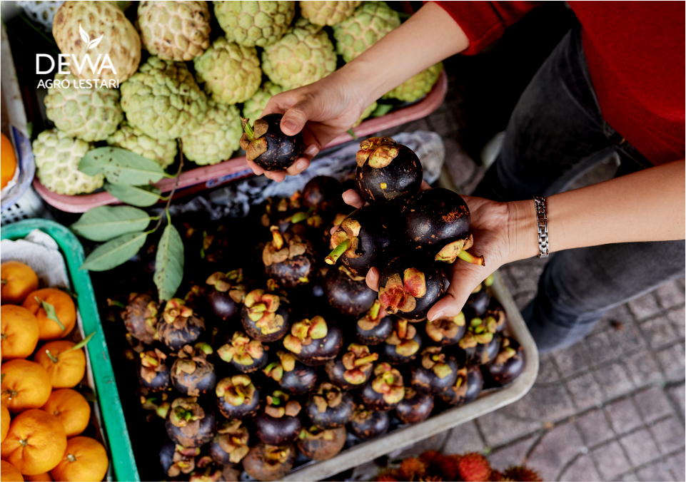 Buah asli indonesia